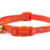 Hi-Vis Orange Safety Cat Collar -Pet Care Supplies Store hi vis orange safety cat collar