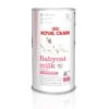 ROYAL CANIN Babycat Milk 300g -Pet Care Supplies Store i3eufgmfbsyzvzt2lumm scaled 1
