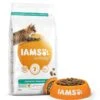 IAMS Light Adult Cat Food Chicken 2kg