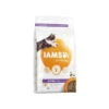 IAMS Kitten & Junior 2KG