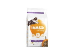IAMS Kitten & Junior 2KG