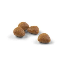 Royal Canin Outdoor Cat Ageing 7+ Dry Food -Pet Care Supplies Store iyziemefqypq2x3qroh3