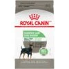 Royal Canin Mini Digestive Care Dog Food -Pet Care Supplies Store k1ajdol5qaccjzlp1iiz