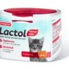 Beaphar Lactol Kitten Milk -Pet Care Supplies Store lactol kitten milk 250g 1