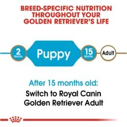 Royal Canin Junior Golden Retriever -Pet Care Supplies Store lea7ezt7sdyylwa7arr2