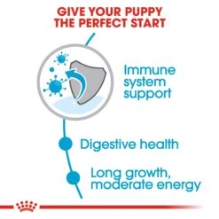Royal Canin Maxi Puppy Dog Food -Pet Care Supplies Store ljnvzsfwvn7tvkygf9fn 1