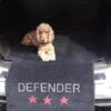 Defender Car Protection -Pet Care Supplies Store logo 27 7