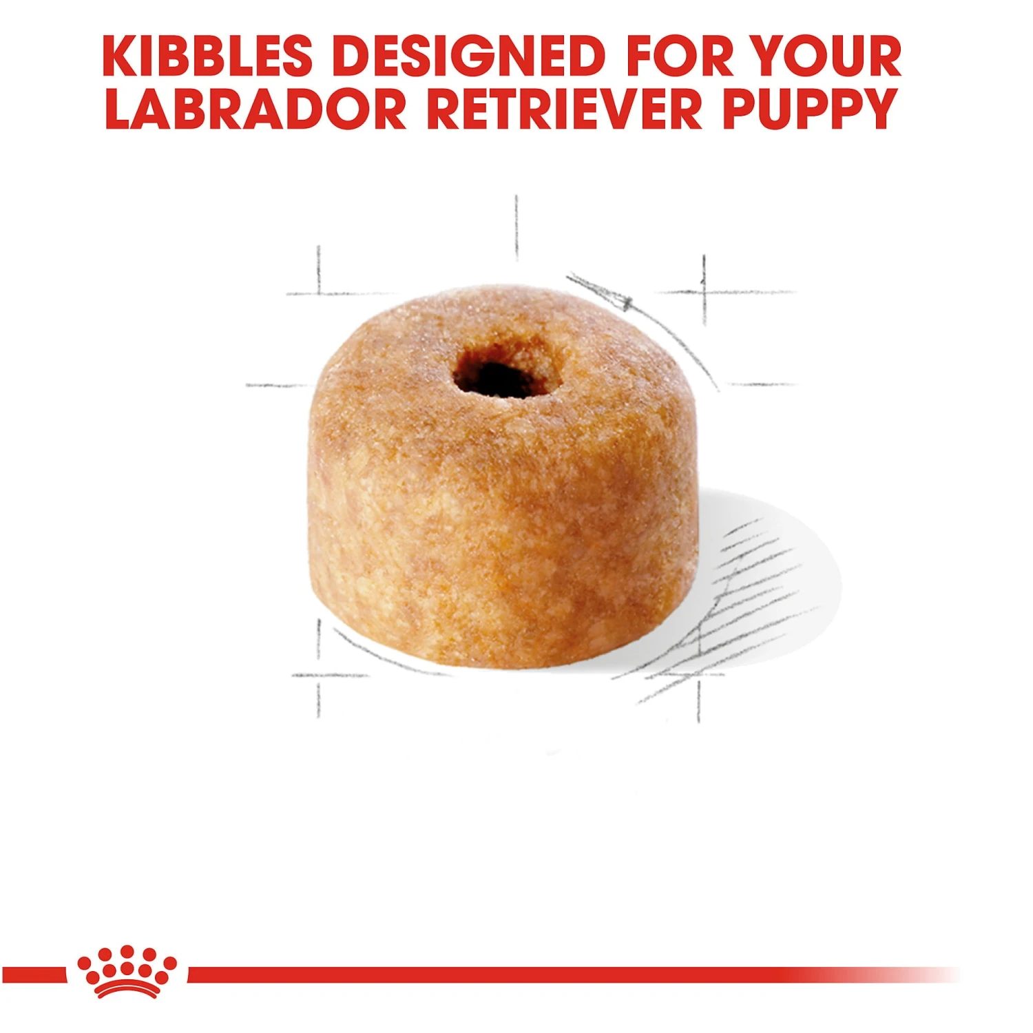 Royal Canin Junior Labrador Retriever 5 Royal Canin Junior Labrador Retriever - Image 3