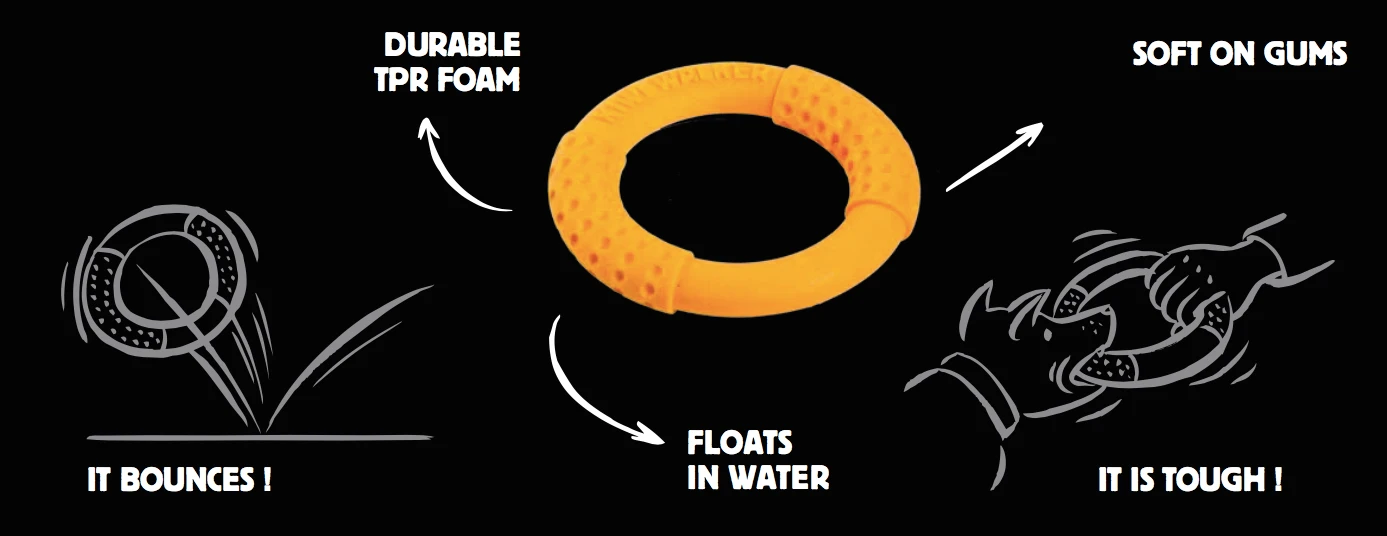 Kiwi Walker Mini Ring Latex Dog Toy 4 Kiwi Walker Mini Ring Latex Dog Toy - Image 2