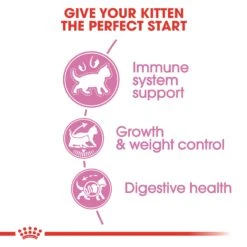Royal Canin Kitten Sterilised Dry Cat Food -Pet Care Supplies Store miqd0f1ovdvpa8uajeto