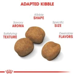 Royal Canin Giant Puppy Dog Food -Pet Care Supplies Store mkaot0xqseeijy87xicu