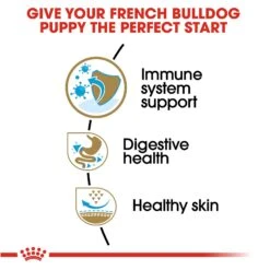 Royal Canin Junior French Bulldog -Pet Care Supplies Store mli3crmyacfcn4hl4jpe