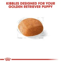 Royal Canin Junior Golden Retriever -Pet Care Supplies Store ntom5pwpdk4dd1ohlptt