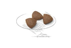 Royal Canin Medium Starter - Mother & Babydog -Pet Care Supplies Store ownggjqy3qrrlmjoafdr