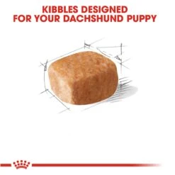 Royal Canin Dachshund Puppy 1.5Kg -Pet Care Supplies Store q8rk75mmxbi68kcqilgs 1