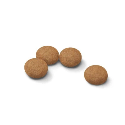 Royal Canin Ageing Sterilised 12+ Dry Cat Food 5 Royal Canin Ageing Sterilised 12+ Dry Cat Food - Image 3