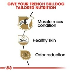 Royal Canin Adult French Bulldog -Pet Care Supplies Store rnuv29cw17s88vz5ltek