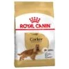 Royal Canin Cocker Spaniel -Pet Care Supplies Store royal canin cocker spaniel dog food
