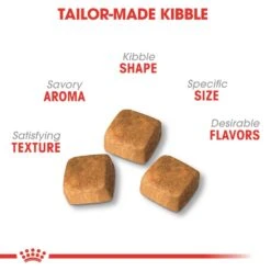 Royal Canin Persian Kitten Dry Cat Food -Pet Care Supplies Store royal canin tailor made kibble for cats 1