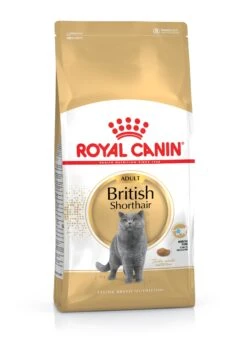 Royal Canin British Shorthair Adult Dry Cat Food