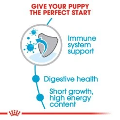 Royal Canin Medium Puppy/Junior Dog Food -Pet Care Supplies Store rxxzi4bibsffe4uwiwdo