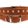 Ancol Leather Stud Dog Collar Tan (39-48cm Size 5) 1 Ancol Leather Stud Dog Collar Tan (39-48cm Size 5) -Pet Care Supplies Store sewn studded dog collar brown