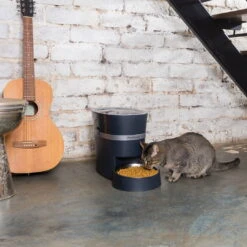 PetSafe Smart Feed Automatic Dog And Cat Feeder -Pet Care Supplies Store smart feed ls cat 3198