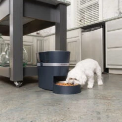 PetSafe Smart Feed Automatic Dog And Cat Feeder -Pet Care Supplies Store smart feed ls dog 1656 edited