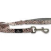 Soho Dalmatian Nylon Dog Lead 100cm X 19mm -Pet Care Supplies Store soho dalmation lead petworld.ie