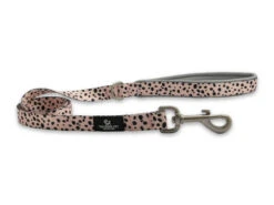 Soho Dalmatian Nylon Dog Lead 100cm X 19mm