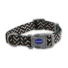 Soho Zigzag Nylon Adjustable Dog Collar 2 Soho Zigzag Nylon Adjustable Dog Collar -Pet Care Supplies Store soho zigzag collar petworld.oe