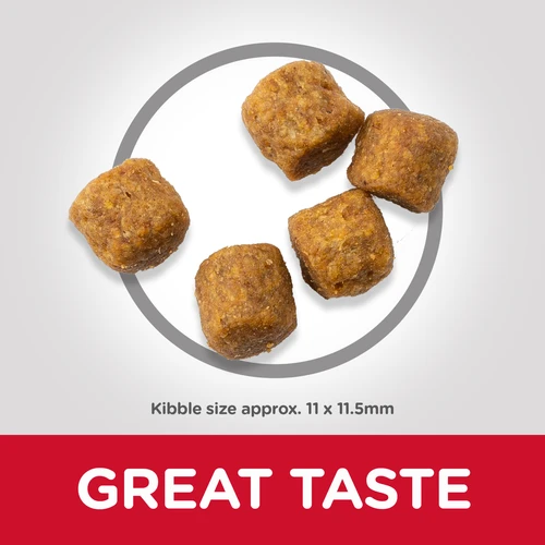 Hill's Science Plan Hills Science Plan Medium Adult Dog Food With Lamb & Rice 14kg 4 Hill's Science Plan Hills Science Plan Medium Adult Dog Food With Lamb & Rice 14kg - Image 2