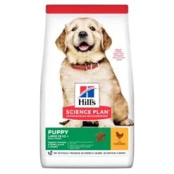 Hill's Science Plan Hills Science Plan Large Breed Puppy Food With Chicken 12kg
