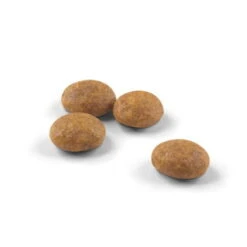 Royal Canin Outdoor 30 Adult Dry Cat Food -Pet Care Supplies Store srkyyws7wswbrgfiknho