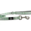 Soho Stripe Nylon Lead 100cm X 19mm -Pet Care Supplies Store stipe nylon pet lead petworld.ie