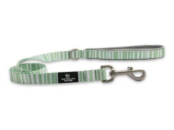 Soho Stripe Nylon Lead 100cm X 19mm