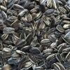 Striped Sunflower Seed 11kg 1 Striped Sunflower Seed 11kg -Pet Care Supplies Store striped sunflower seed c4e9567c c512 44d0 bac0 c10facfe5d9c