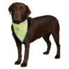Trixie Safety Neckerchief For Dogs -Pet Care Supplies Store trixie neckerchief for dogs