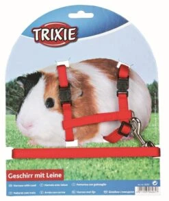 Trixie Nylon Guinea Pig Harness With Lead