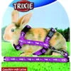 Trixie Rabbit Harness With Lead 1 Trixie Rabbit Harness With Lead -Pet Care Supplies Store trixie rabbit harness petworld ireland