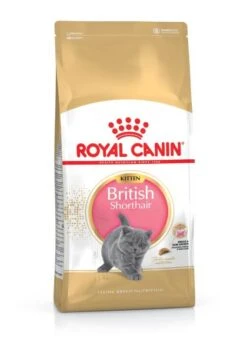 Royal Canin British Shorthair Kitten Dry Cat Food