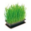 Vitakraft Cat Grass 120g