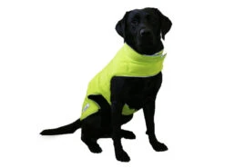 Viva Reversible Dog Coat Black/HiVis