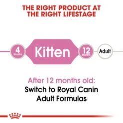 Royal Canin Kitten Dry Cat Food -Pet Care Supplies Store voamwih7d68hrctrgdrz