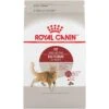 Royal Canin FIT 32 Adult Dry Cat Food -Pet Care Supplies Store vpmer4o6dahgzwvgptgj 1