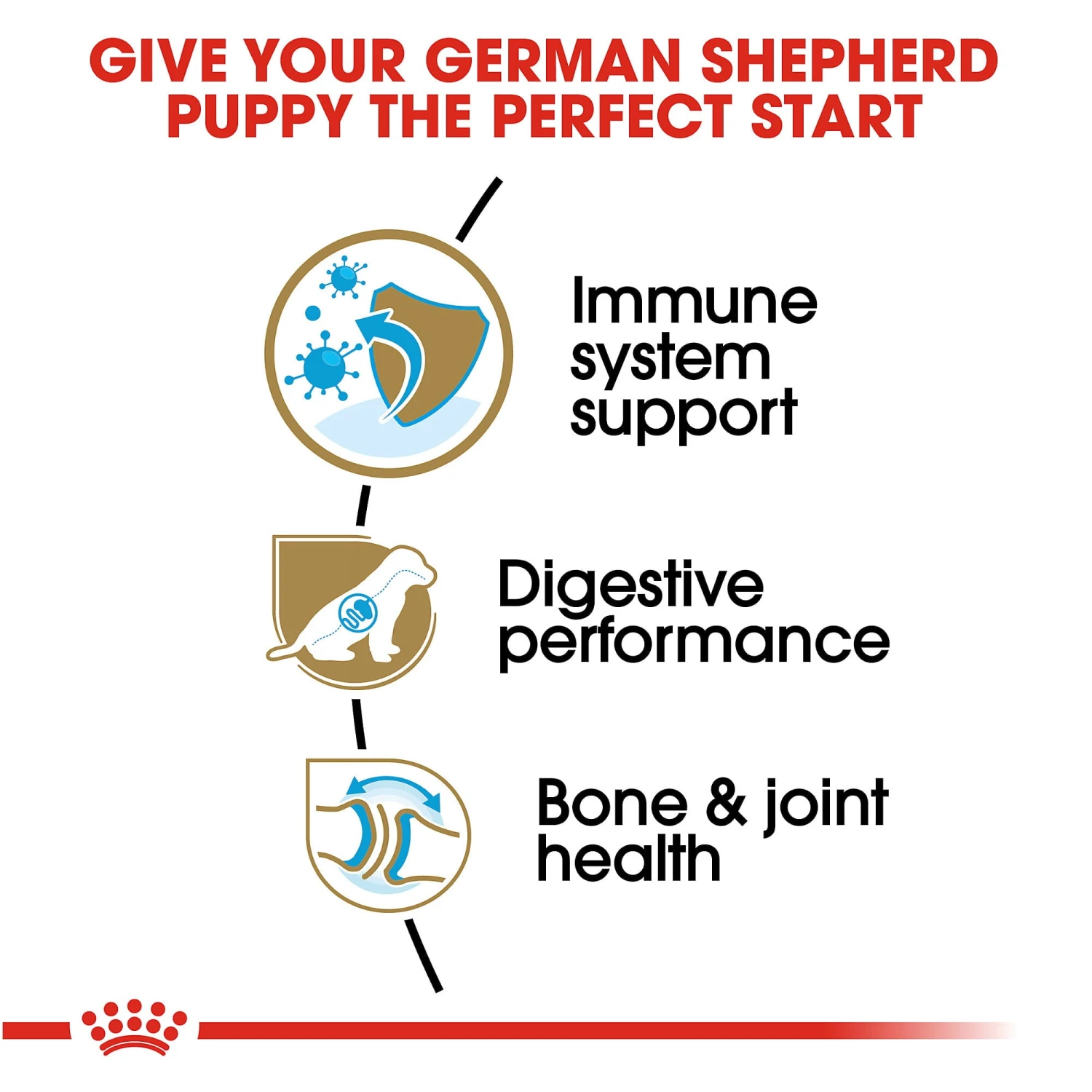 Royal Canin Junior German Shepherd 7 Royal Canin Junior German Shepherd - Image 5