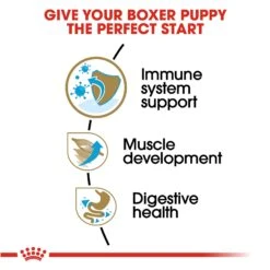 Royal Canin Junior Boxer Dog Food -Pet Care Supplies Store w8pqndutve8vdmxvxr2f
