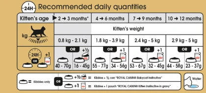 Royal Canin British Shorthair Kitten Dry Cat Food 5 Royal Canin British Shorthair Kitten Dry Cat Food - Image 3