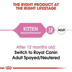 Royal Canin Kitten Sterilised Dry Cat Food -Pet Care Supplies Store zakt48cormvmmr1awpfd