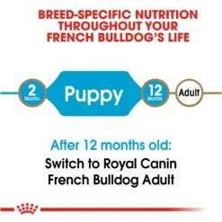 Royal Canin Junior French Bulldog -Pet Care Supplies Store zfys8djgu2pvummt3dhk